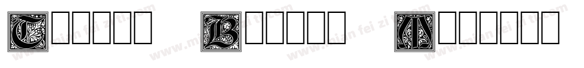 Toppan Bunkyu Midashi Gothic字体转换